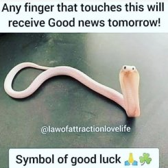 46A53D2A-E4B5-4689-B34D-27B67D51EA85.jpeg