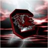 USAFGamecocks